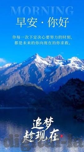 麻豆91网在线观看-探秘麻豆91网，在线观看的深度体验